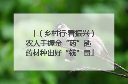 （乡村行·看振兴）农人手握金“药”匙 药材种出好“钱”景