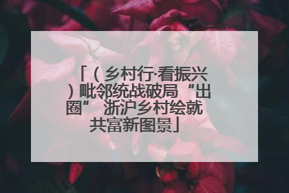 （乡村行·看振兴）毗邻统战破局“出圈” 浙沪乡村绘就共富新图景
