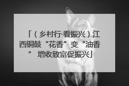 （乡村行·看振兴）江西铜鼓“花香”变“油香” 增收致富促振兴