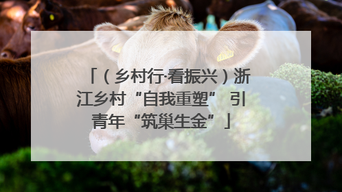 （乡村行·看振兴）浙江乡村“自我重塑” 引青年“筑巢生金”