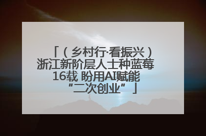 （乡村行·看振兴）浙江新阶层人士种蓝莓16载 盼用AI赋能“二次创业”