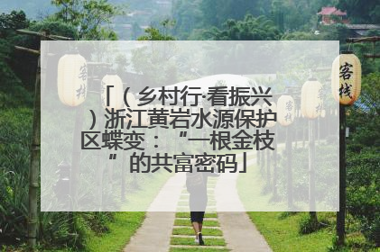（乡村行·看振兴）浙江黄岩水源保护区蝶变：“一根金枝”的共富密码