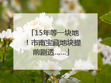 15年等一块地！市南宝藏地块提前剧透……