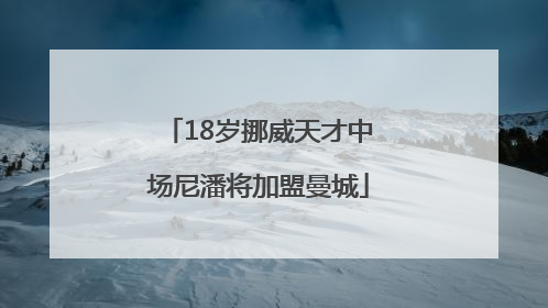 18岁挪威天才中场尼潘将加盟曼城