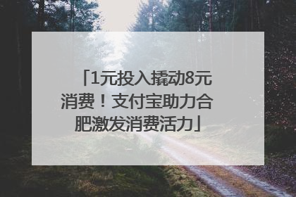 1元投入撬动8元消费！支付宝助力合肥激发消费活力