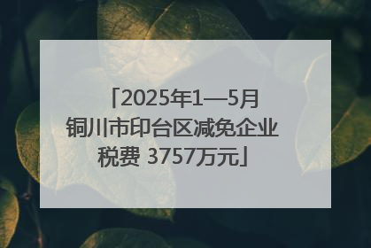 2025年1—5月铜川市印台区减免企业税费 3757万元