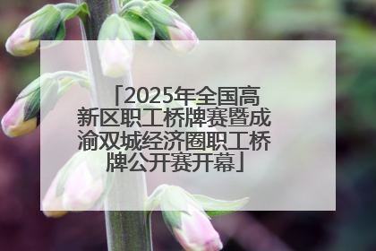 2025年全国高新区职工桥牌赛暨成渝双城经济圈职工桥牌公开赛开幕