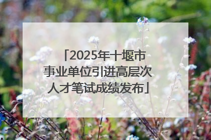 2025年十堰市事业单位引进高层次人才笔试成绩发布