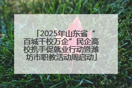 2025年山东省“百城千校万企”民企高校携手促就业行动暨潍坊市职教活动周启动