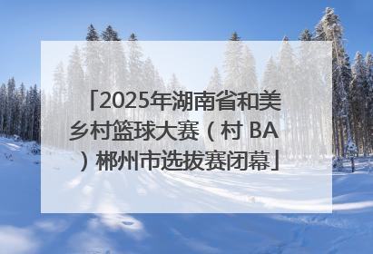 2025年湖南省和美乡村篮球大赛（村 BA）郴州市选拔赛闭幕