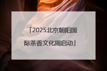 2025北京朝阳国际茶香文化周启动