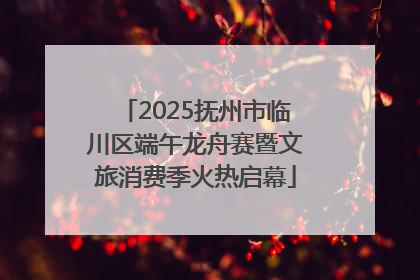 2025抚州市临川区端午龙舟赛暨文旅消费季火热启幕