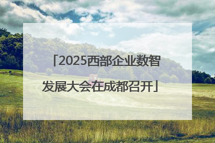 2025西部企业数智发展大会在成都召开