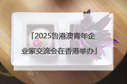 2025鲁港澳青年企业家交流会在香港举办