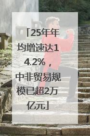 25年年均增速达14.2%，中非贸易规模已超2万亿元