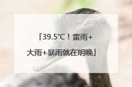 39.5℃！雷雨+大雨+暴雨就在明晚