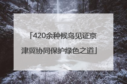 420余种候鸟见证京津冀协同保护绿色之道