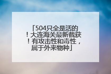 504只全是活的！大连海关最新截获！有攻击性和毒性，属于外来物种