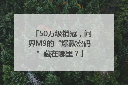 50万级销冠，问界M9的“爆款密码”藏在哪里？