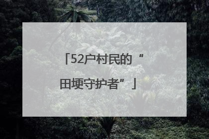 52户村民的“田埂守护者”