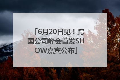 6月20日见！跨国公司峰会首发SHOW嘉宾公布