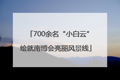 700余名“小白云”绘就南博会亮丽风景线
