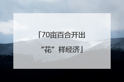 70亩百合开出“花”样经济