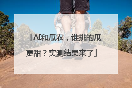 AI和瓜农，谁挑的瓜更甜？实测结果来了