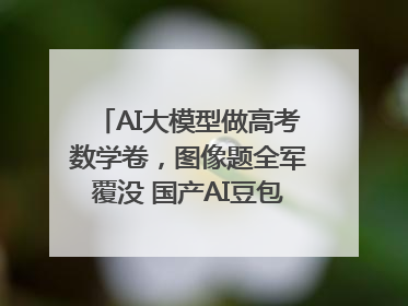 AI大模型做高考数学卷，图像题全军覆没 国产AI豆包和DeepSeek均得分144