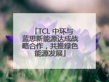 TCL 中环与蓝思新能源达成战略合作，共推绿色能源发展